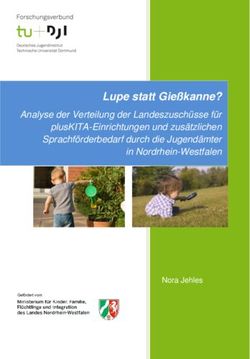 Lupe statt Gießkanne? - Analyse der Verteilung der Landeszuschüsse für plusKITA-Einrichtungen und zusätzlichen Sprachförderbedarf durch die ...