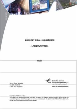 MOBILIT&Auml;T IN BALLUNGSR&Auml;UMEN - LITERATURSTUDIE- 4.5.2009