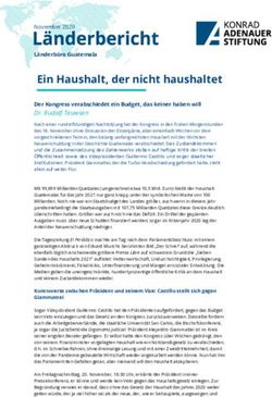 Ein Haushalt, der nicht haushaltet - November 2020 - Konrad ...