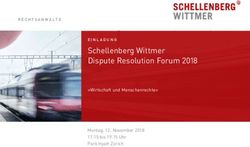 Schellenberg Wittmer Dispute Resolution Forum 2018 - "Wirtschaft und Menschenrechte" Montag, 12. November 2018 17.15 bis 19.15 Uhr Park Hyatt Z&uuml;rich