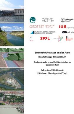 Extremhochwasser an der Aare - Resultatmappe 2 Projekt EXAR Analysestandorte und Schl&uuml;sselstellen im Gesamtsystem Subsystem SSM, Limmat, Z&uuml;richsee ...