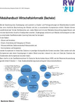 Modulhandbuch Wirtschaftsinformatik (Bachelor)