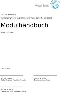 Modulhandbuch - HS Kempten