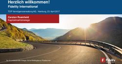 Herzlich willkommen! Fidelity International - Carsten Roemheld Kapitalmarktstratege