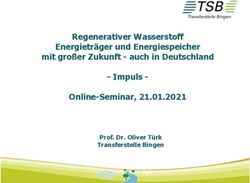 Regenerativer Wasserstoff Energietr&auml;ger und Energiespeicher mit gro&szlig;er Zukunft - auch in Deutschland - Impuls - Online-Seminar, 21.01.2021 - Prof ...