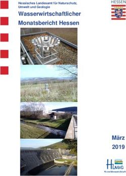 Wasserwirtschaftlicher Monatsbericht Hessen - März 2019 - Hessisches ...