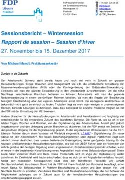 Sessionsbericht - Wintersession - Rapport de session - Session d'hiver - FDP.Die Liberalen