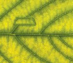 BAUR Kabelfehlerortung - Netze sind sensibel. Wir helfen Ihnen sie zu sch&uuml;tzen.