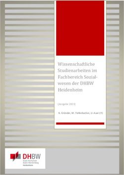 Wissenschaftliche Studienarbeiten im Fachbereich Sozialwesen der DHBW Heidenheim - R. Gründer, M. Tiefenbacher, U. Auer ( )