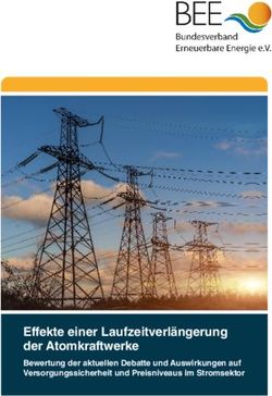 Effekte einer Laufzeitverl&auml;ngerung der Atomkraftwerke - Bewertung der aktuellen Debatte und Auswirkungen auf Versorgungssicherheit und ...