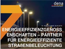 ENERGIEEFFIZIENZGENOSS ENSCHAFTEN - PARTNER FÜR ENERGIEEFFIZIENTE STRAßENBELEUCHTUNG - DR. KARSTEN LINDLOFF, 05.03.2018