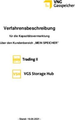 Verfahrensbeschreibung - für die Kapazitätsvermarktung über den Kundenbereich "MEIN SPEICHER"