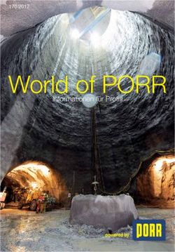 World of PORR Informationen f&uuml;r Profis 170/2017