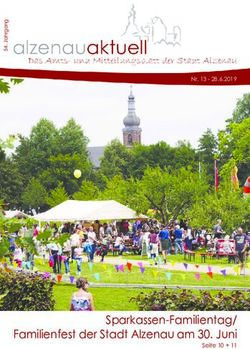 Sparkassen-Familientag/ Familienfest der Stadt Alzenau am 30. Juni - Seite 10 + 11 - Nr. 13 28.6.2019