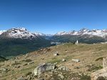 Vogelbeobachtung im Oberengadin - Naturerlebnisse auf dem Dach der Alpen / Juni 2021 - Birdingtours