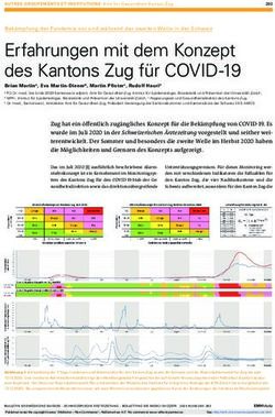 Erfahrungen mit dem Konzept des Kantons Zug f&uuml;r COVID-19