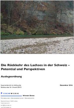 Die R&uuml;ckkehr des Lachses in der Schweiz - Potential und Perspektiven - Fischwerk
