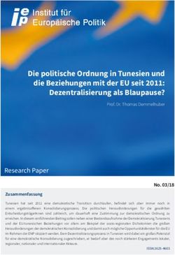 Die politische Ordnung in Tunesien und die Beziehungen mit der EU seit 2011: Dezentralisierung als Blaupause?