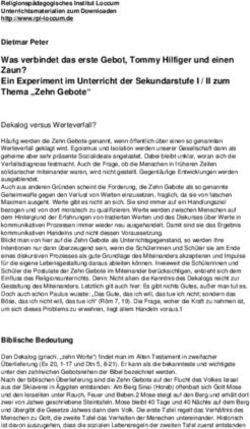Dietmar Peter Was verbindet das erste Gebot, Tommy Hilfiger und einen Zaun? Ein Experiment im Unterricht der Sekundarstufe I / II zum Thema "Zehn ...