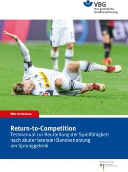 Return-to-Competition - Testmanual zur Beurteilung der Spielfähigkeit nach akuter lateraler Bandverletzung am Sprunggelenk - VBG