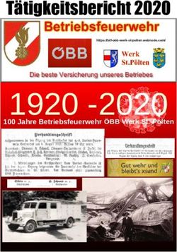 1920 -2020 Tätigkeitsbericht 2020 - 100 Jahre Betriebsfeuerwehr ÖBB Werk St. Pölten - BTF ÖBB Werk St. Pölten