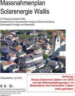 Massnahmenplan Solarenergie Wallis - Canton du Valais