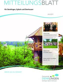 MITTEILUNGSBLATT - MEHR ALS DU DENKST - Für Denklingen, Epfach und Dienhausen JULI 2019