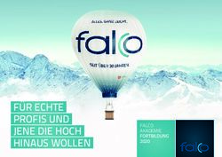 F&Uuml;R ECHTE PROFIS UND JENE DIE HOCH HINAUS WOLLEN - FALCO AKADEMIE FORTBILDUNG - Falco Linsen