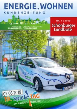 ENERGIE.WOHNEN 19 - NR. 1 | 2019 - Stadtwerke Glauchau