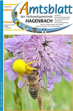 Mt sblatt - Stadt Hagenbach