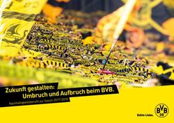Umbruch und Aufbruch beim BVB - Nachhaltigkeitsbericht zur Saison 2017 / 2018 - BVB ...