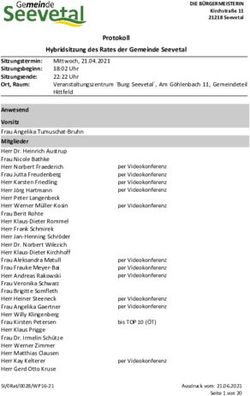 Protokoll Hybridsitzung des Rates der Gemeinde Seevetal