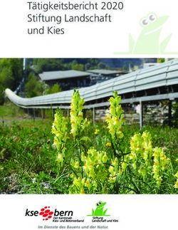 T&auml;tigkeitsbericht 2020 Stiftung Landschaft und Kies