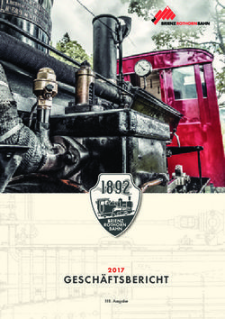 GESCH&Auml;FTSBERICHT 2017 - Brienz Rothorn Bahn AG