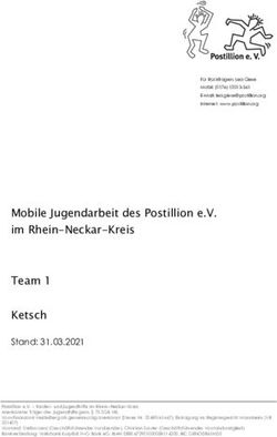 Mobile Jugendarbeit des Postillion e.V. im Rhein-Neckar-Kreis Team 1 Ketsch