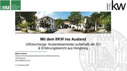 MIT DEM IFKW INS AUSLAND - LMUEXCHANGE: AUSLANDSSEMESTER AU&szlig;ERHALB DER EU & ERFAHRUNGSBERICHT AUS HONGKONG