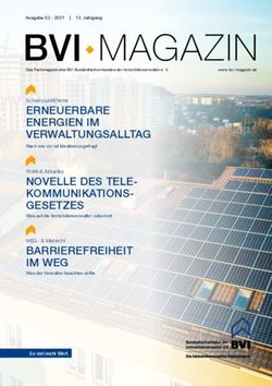 BVI MAGAZIN - BVI-Magazin