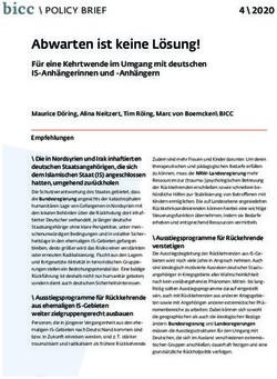 Abwarten ist keine L&ouml;sung! - F&uuml;r eine Kehrtwende im Umgang mit deutschen IS-Anh&auml;ngerinnen und -Anh&auml;ngern - BICC Bonn