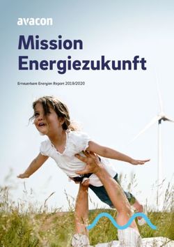 Mission Energiezukunft - Erneuerbare Energien Report 2019/2020 - Avacon AG