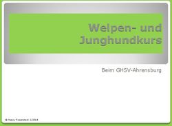 Welpen- und Junghundkurs - Beim GHSV-Ahrensburg