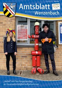 Amtsblattan alle haushalte - der Gemeinde Wenzenbach