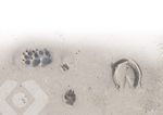 PRODUKTE & ANWENDUNGEN - Original EM Effektive Mikroorganismen - HAUS & GARTEN H2O WASSERAUFBEREITUNG TIERE K&Ouml;RPER & SEELE RESONANZKERAMIK ...