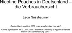Nicotine Pouches in Deutschland - die Verbrauchersicht - Leon Nussbaumer "Deutschland rauchfrei 2030 - wir schaffen das! Nur wie?"