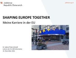 SHAPING EUROPE TOGETHER - Meine Karriere in der EU Dr. Sabine Piska-Schmidt Leiterin der EU JOB Information 16. November 2021