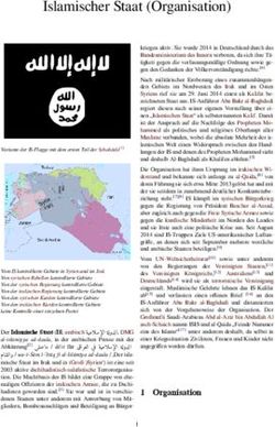 Islamischer Staat (Organisation)