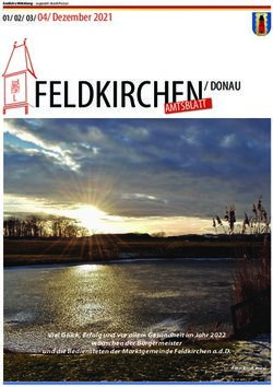 FELDKIRCHENA Marktgemeinde Feldkirchen ...