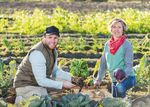 Aktionsplan 2021-2022 - Ma&szlig;nahmen im Rahmen der Steirischen Gleichstellungsstrategie - Land Steiermark