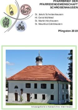 PFARRBRIEF DER PFARREIENGEMEINSCHAFT SCHROBENHAUSEN - Pfingsten 2019 St. Jakob Schrobenhausen Hl. Geist Mühlried St. Martin Hörzhausen St ...