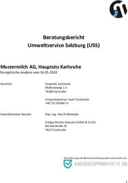 Beratungsbericht Umweltservice Salzburg (USS)