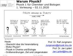 Warum Physik? Physik 1 für Chemiker und Biologen 1. Vorlesung 02.11.2020
